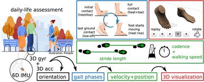 Calibration-Free Gait Assessment by Foot-Worn Inertial Sensors